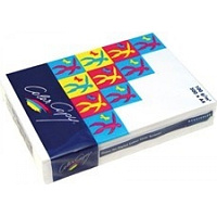 Color Copy A4, 135g. 250 listov coated Glossy