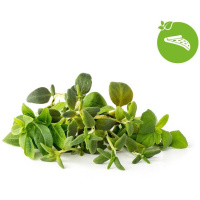 Smart Garden Mix Talianských bylín  3-pack