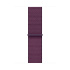 Apple Watch 40mm Plum Sport Loop