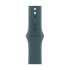 Apple Watch 42mm Lake Green Sport Band - M/L