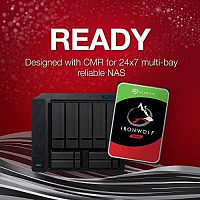 Seagate Ironwolf NAS HDD 12TB SATA
