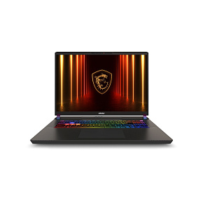 MSI Vector 17"QHD+/ Ultra9/32/2T/RTX5090/W11H MSI Vector 17"QHD+/ Ultra9/32/2T/RTX5090/W11H