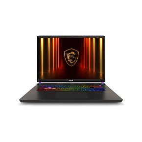 MSI Vector/A16 HX A8WHG-049XCZ/R9-8940HX/16"/2560x1600/64GB/2TB/RTX 5070Ti/bez OS/Gray/2R MSI Vector/A16 HX A8WHG-049XCZ/R9-8940HX/16"/2560x1600/64GB/2TB/RTX 5070Ti/bez OS/Gray/2R