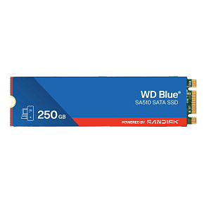 WD Blue SA510 POWERED BY SANDISK/250GB/SSD/M.2 SATA/5R WD Blue SA510 POWERED BY SANDISK/250GB/SSD/M.2 SATA/5R