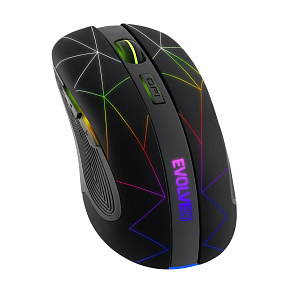 EVOLVEO WM430/Herná/Optická/1 600 DPI/Bezdrôtová USB/Čierna EVOLVEO WM430/Herná/Optická/1 600 DPI/Bezdrôtová USB/Čierna