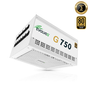 EVOLVEO G750, 750W/ ATX 3.1/ 80+ GOLD/ Modular EVOLVEO G750, 750W/ ATX 3.1/ 80+ GOLD/ Modular