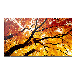 43" LED SHARP M432,3840x2160,IPS,24/7,500cd 43" LED SHARP M432,3840x2160,IPS,24/7,500cd