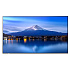 55" LED SHARP P556,3840 x 2160, IPS, 24/7,700cd