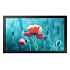 13" LED Samsung QB13R-FHD, 500cd, MI, 16/7
