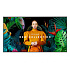 98" LED Samsung QH98C - 4K, 700cd, MI, 24/7