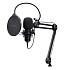 TRUST GXT270 EMITA II MICROPHONE WITH ARM