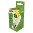 EMOS LED FLM MINI GL 3,8 W (60 W) 806lm E14 WW A CLAS
