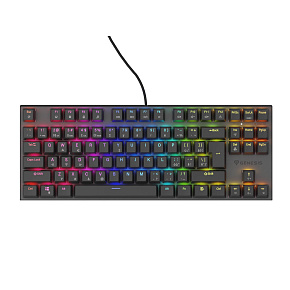 Genesis tichá herná klávesnica THOR 303/TKL/RGB/Outemu Peach/Drôtová USB/ CZ- SK layout/Čierna Genesis tichá herná klávesnica THOR 303/TKL/RGB/Outemu Peach/Drôtová USB/ CZ- SK layout/Čierna