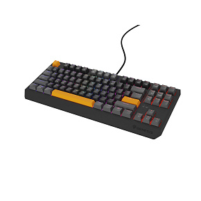 Genesis herná klávesnica THOR 230/TKL/RGB/Outemu Red/Drôtová USB/US layout/Anchor Positive Šedá Genesis herná klávesnica THOR 230/TKL/RGB/Outemu Red/Drôtová USB/US layout/Anchor Positive Šedá