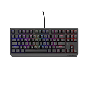Herná klávesnica Genesis THOR 230/TKL/RGB/Outemu Red/Drôtové USB-A/ CZ- SK layout/Čierna Herná klávesnica Genesis THOR 230/TKL/RGB/Outemu Red/Drôtové USB-A/ CZ- SK layout/Čierna