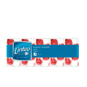 Hygienické vreckovky Linteo Satin 10 x 10