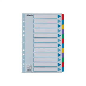 Rozraďovač A4 MYLAR kartónový 12-dielny