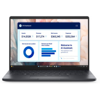 Dell Pro 13 Premium PA13250/U5-236V/Evo/16GB/512GB SSD/13.4" FHD+/IRCam/FgrPr/3Cell/65W/WLAN/vPro/Win11Pro/3Y PS