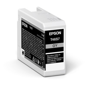 kazeta EPSON SC-P700 gray 25ml (C13T46S700)