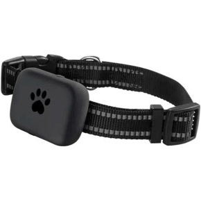 CARNEO DogSAFE+ GPS