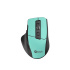 Mouse C-TECH Ergo WM-05, 1600DPI, 6 buttons, USB, mint