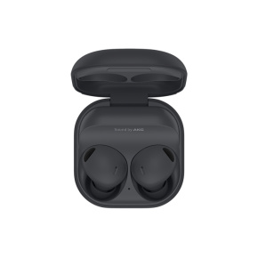 Samsung Galaxy Buds 2 Pro Grey