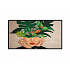 98" D-LED Philips 98BDL4650D-UHD, IPS, 500cd, AN, 24/7