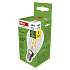 EMOS LED FLM MINI GL 3,8 W (60 W) 806lm E14 NW A CLAS