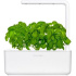 smart kvetináč + 3ks kapsúl so semienkami bazalky, Click and Grow Smart Garden 3, biely
