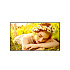 55" LG LED 55UL5-UHD, 500cd, WebOs, 24/7