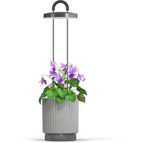 Smart Garden 1 Hydrovase, grey Smart Garden 1 Hydrovase, grey