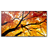 50" LED SHARP M502,3840x2160,24/7