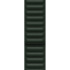 Apple Watch 41mm Sequoia Green Leather Link - S/M