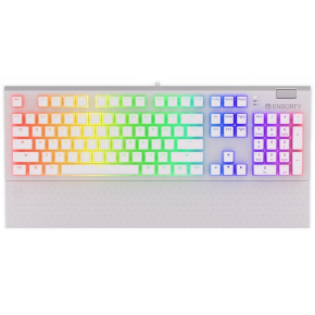 ENDORFY gaming keyboard Omnis OWH Pudd.Kailh BR RGB /USB/ brown switch / wired / mechanical / US layout / white RGB