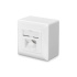 CAT 6 wall outlet, shielded, 2x RJ45 8P8C, LSA, pure white, surface mount