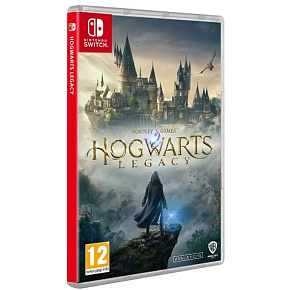 NS - Hogwarts Legacy