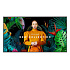 75" LED Samsung QM75C - UHD, 500cd, MI, 24/7