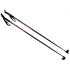 SKOL Poles for cross-country skiing - 160 cm