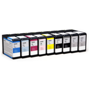 kazeta EPSON S Pro 3800 Light light Black