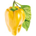 kapsule so semienkami a substrátom 3ks, Click and Grow sladká žltá paprika
