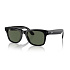 Meta Ray-Ban Gen1 Wayfarer, Shiny Black, G15 Green LARGE