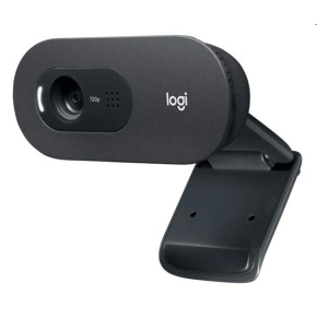 Logitech C505 HD Webcam