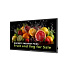 32" D- LED Philips 32BDL5050D-FHD, 500cd, AN, 24/7