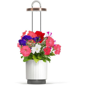 Smart Garden 1 Hydrovase, white Smart Garden 1 Hydrovase, white