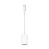 Apple Lightning to USB Adapter