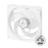 Arctic case fan P14 PWM PST White Transparent