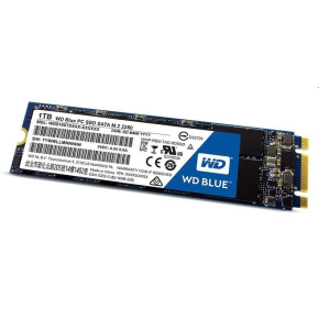 WD Blue SA510 SSD 1TB M.2 SATA