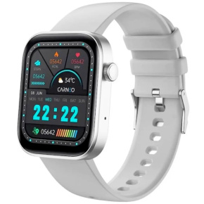 CARNEO Zenith HR+ silver