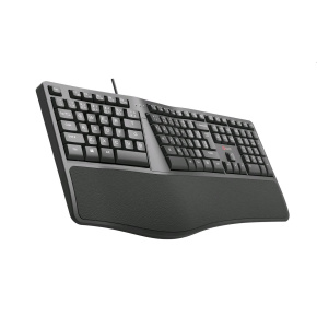 Keyboard C-TECH KB-113E USB, ERGO, black, CZ/SK