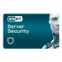 ESET Server Security 1 server, 1 rok